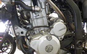 KAWASAKI KLX250D TRACKER X LX250V
