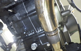 KAWASAKI Z125 PRO 2011 BR125H