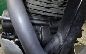 YAMAHA TT250R RAID 4GY