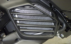 YAMAHA CYGNUSｸﾞﾘﾌｧｽ SEJ4J