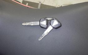 KAWASAKI NINJA 250 2001 EX250P