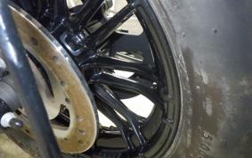 HARLEY XL1200XS 2019