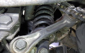 KAWASAKI ZZ-R250 2006 EX250H