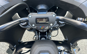HARLEY FXLRST 2025 YXZ