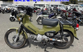 OTHER  CROSS  CUB 110-2