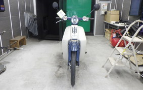HONDA C50 SUPER CUB 2022 AA01
