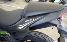 KAWASAKI NINJA 250 SL