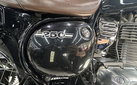 KAWASAKI W175 BJ250L