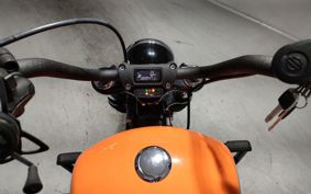 HARLEY FXBBS1870 2021 YYK