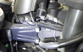 KAWASAKI ZX 1400 NINJA R A 2019