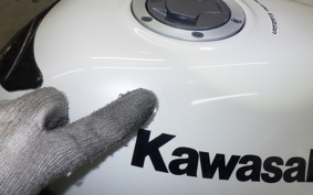 KAWASAKI NINJA 250R 2007 EX250K