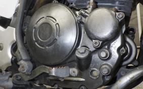 YAMAHA TT250R RAID 4GY