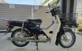 HONDA SUPER CUB110 JA10