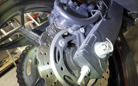 KAWASAKI NINJA 250 EX250L
