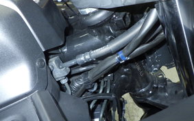 SUZUKI GIXXER 250 SF 2025 ED22Y