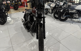 HARLEY XL1200NS 2018 LP3