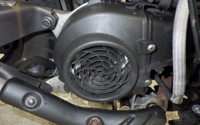 HONDA NAVI110 2022