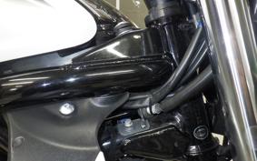 SUZUKI ｸﾞﾗﾃﾞｨｳｽ400 2012 VK58A