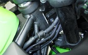 KAWASAKI ZX-4RR 2025 ZX400P