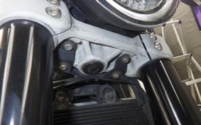 HUSQVARNA SVARTPILEN 250