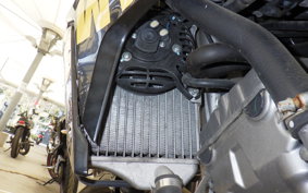 HONDA CRF250L 2024 MD38