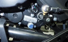 OTHER MUTT250