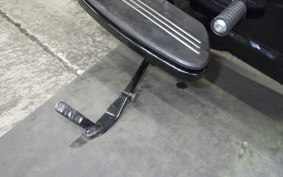 HARLEY FLTRX1920 2024