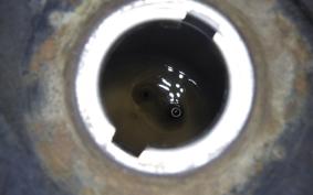 HONDA C90 SUPER CUB 2019 HA02