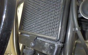 TRIUMPH BONNEVILLE T100 2022