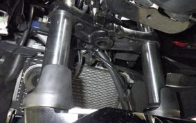 SUZUKI GSX250RA