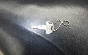 HONDA C50 SUPER CUB 2013 C50