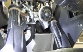 YAMAHA YZF-R25 2001 RG43J