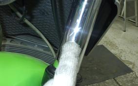 KAWASAKI ZRX1200 R 2002 ZRT20A