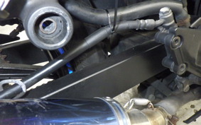 KAWASAKI NINJA 250R 2025 EX250K