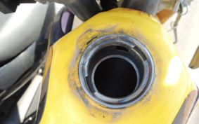 SUZUKI RMX250