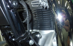 KAWASAKI W800 2024 EJ800E
