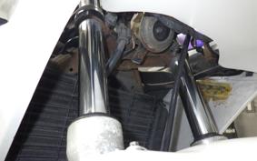 YAMAHA FZR250 2KR