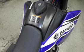 YAMAHA WR250X DG15J