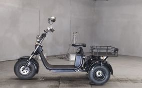 OTHER  BLAZE EV TRIKE  ..