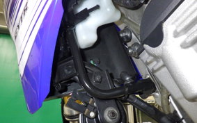 YAMAHA WR250R 2019 DG15J