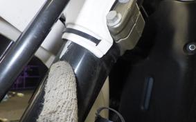 YAMAHA WR250X 2022 DG15J