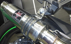 KAWASAKI Z250 Gen.2 2023 EX250Y