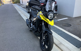 SUZUKI STROM 250 DS11A