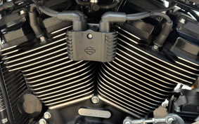 HARLEY FXLRST 2024 YXZ