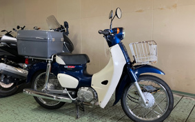 HONDA SUPER CUB50 AA09