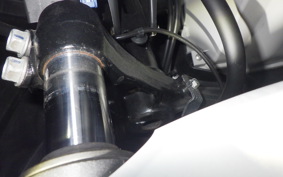 HONDA FORZA 250 2023 MF15
