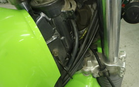 KAWASAKI SUPER SHERPA 2026 KL250G