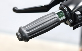HARLEY XL883N 2019 LE2