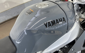 YAMAHA XSR900 GP 2024 RN96J