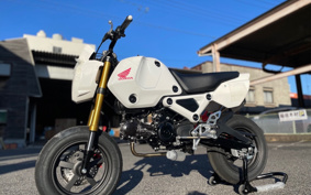 HONDA HRC GROM JC92